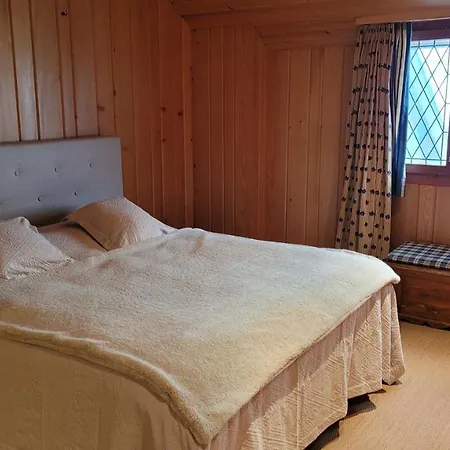Cozy Apartment In The Swiss Alps 公寓